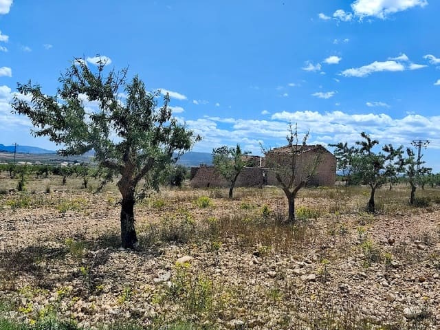 Ruin til salg i Pinoso - € 49.900 (Ref: 9475510)