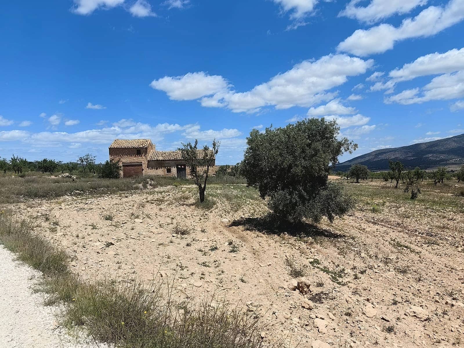 Ruin til salg i Pinoso - € 49.900 (Ref: 9475510)