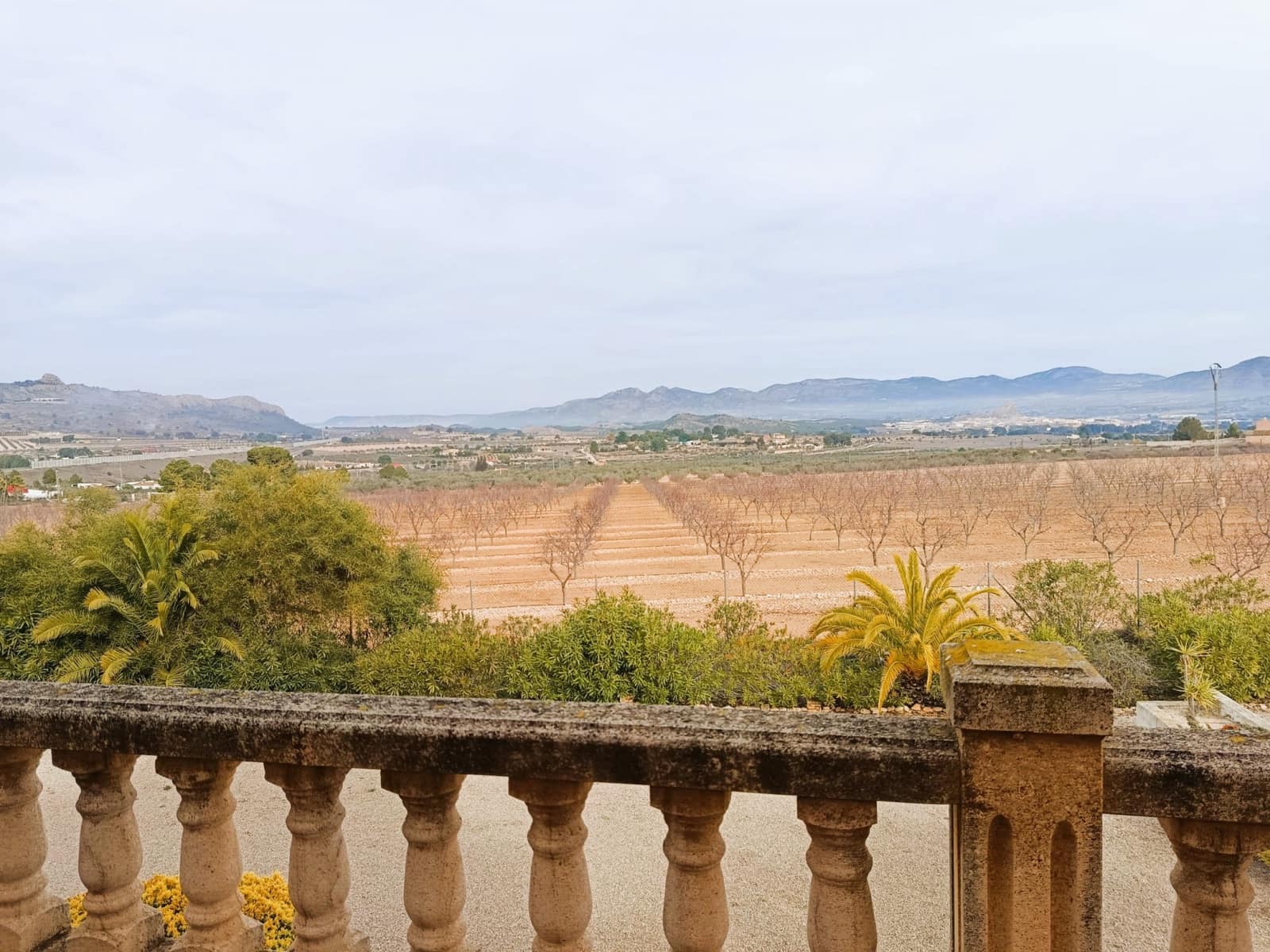 5 bedroom Villa for sale in Elda - € 450,000 (Ref: 9495144)