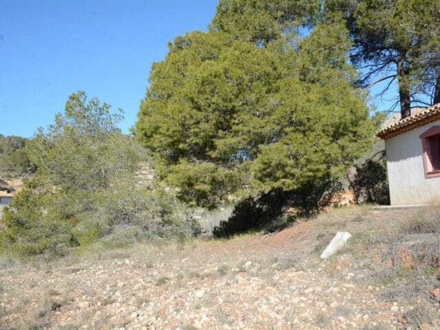 6 bedroom Villa for sale in Monovar / Monover - € 599,950 (Ref: 9495148)