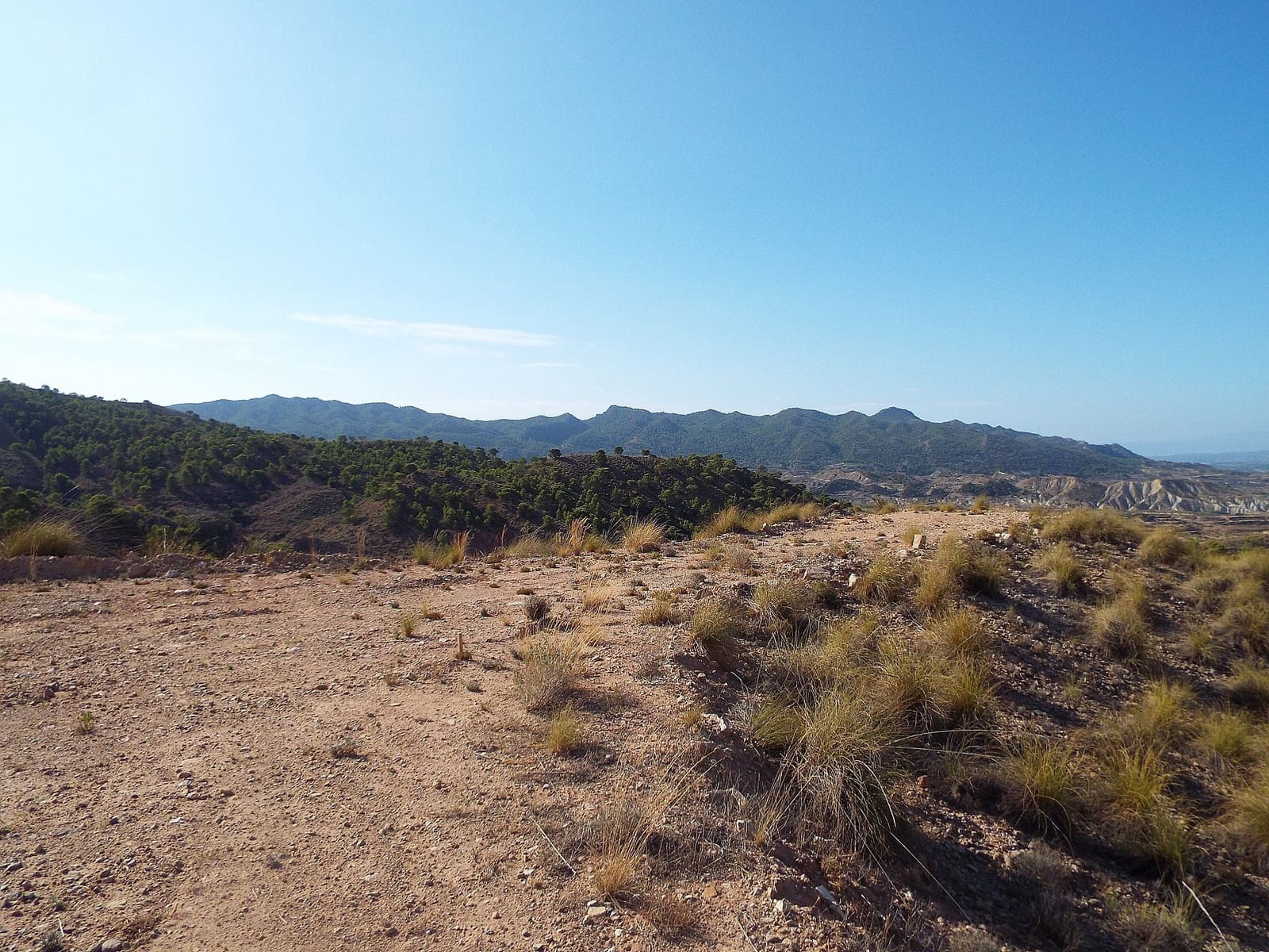 Undeveloped Land for sale in Macisvenda - € 49,950 (Ref: 9495172)