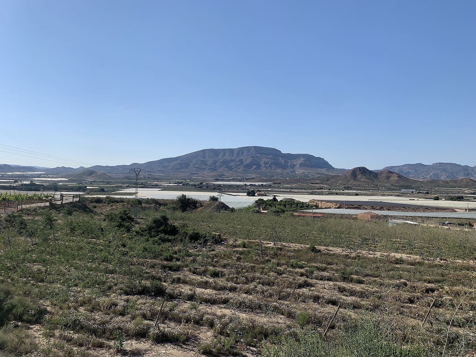 Terreno Non Edificato in vendita in Monforte del Cid - 65.000 € (Rif: 9495218)