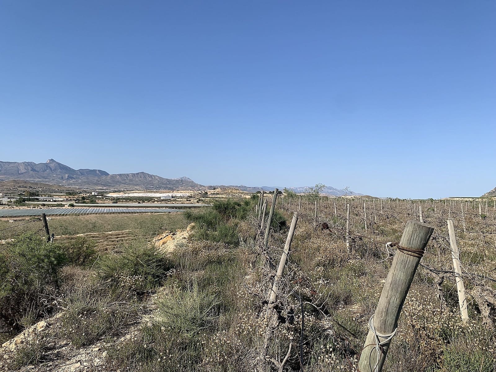 Terreno Non Edificato in vendita in Monforte del Cid - 65.000 € (Rif: 9495218)