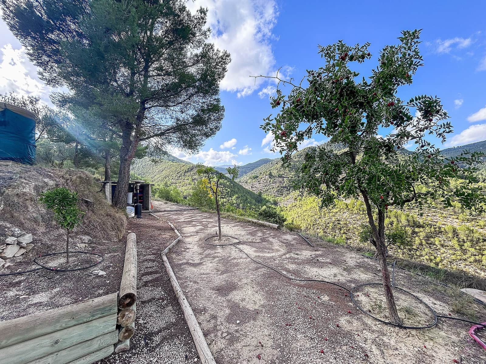 2 soverom Finca/Herregård til salgs i Torremanzanas med svømmebasseng - € 220 000 (Ref: 9495240)