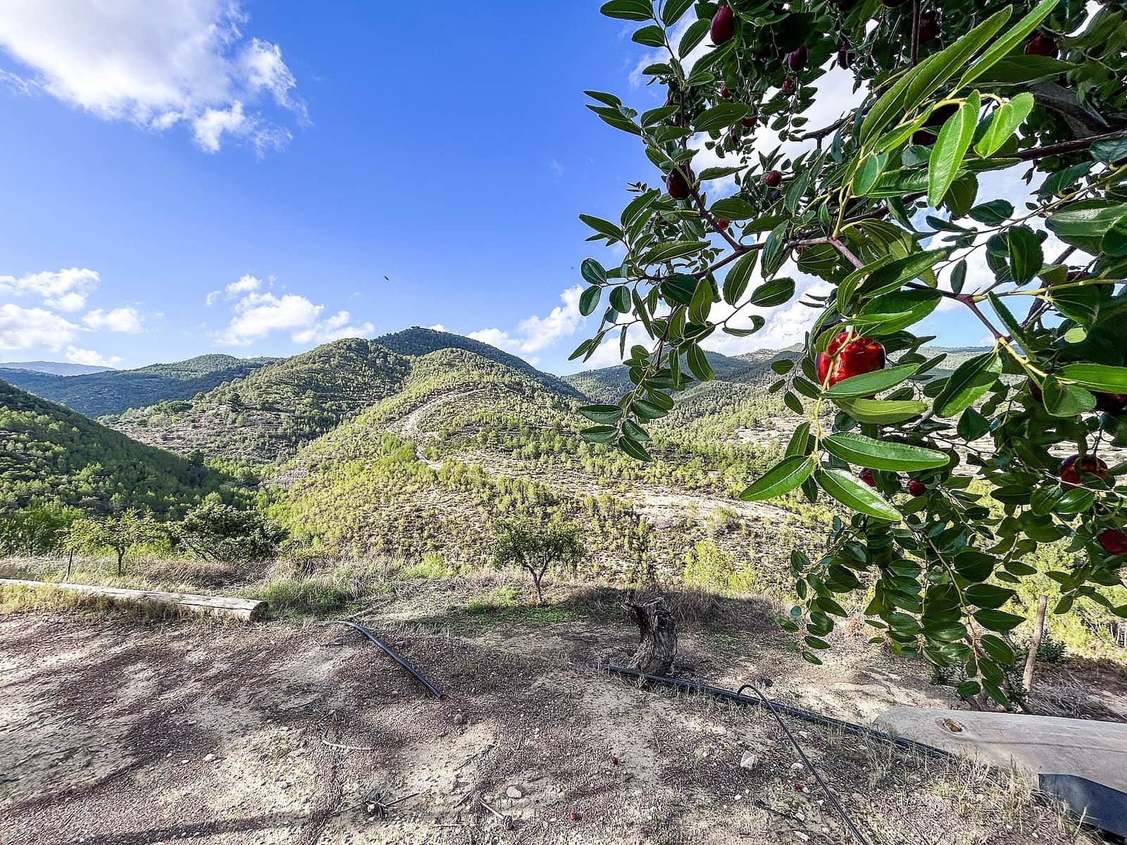 2 soverom Finca/Herregård til salgs i Torremanzanas med svømmebasseng - € 220 000 (Ref: 9495240)