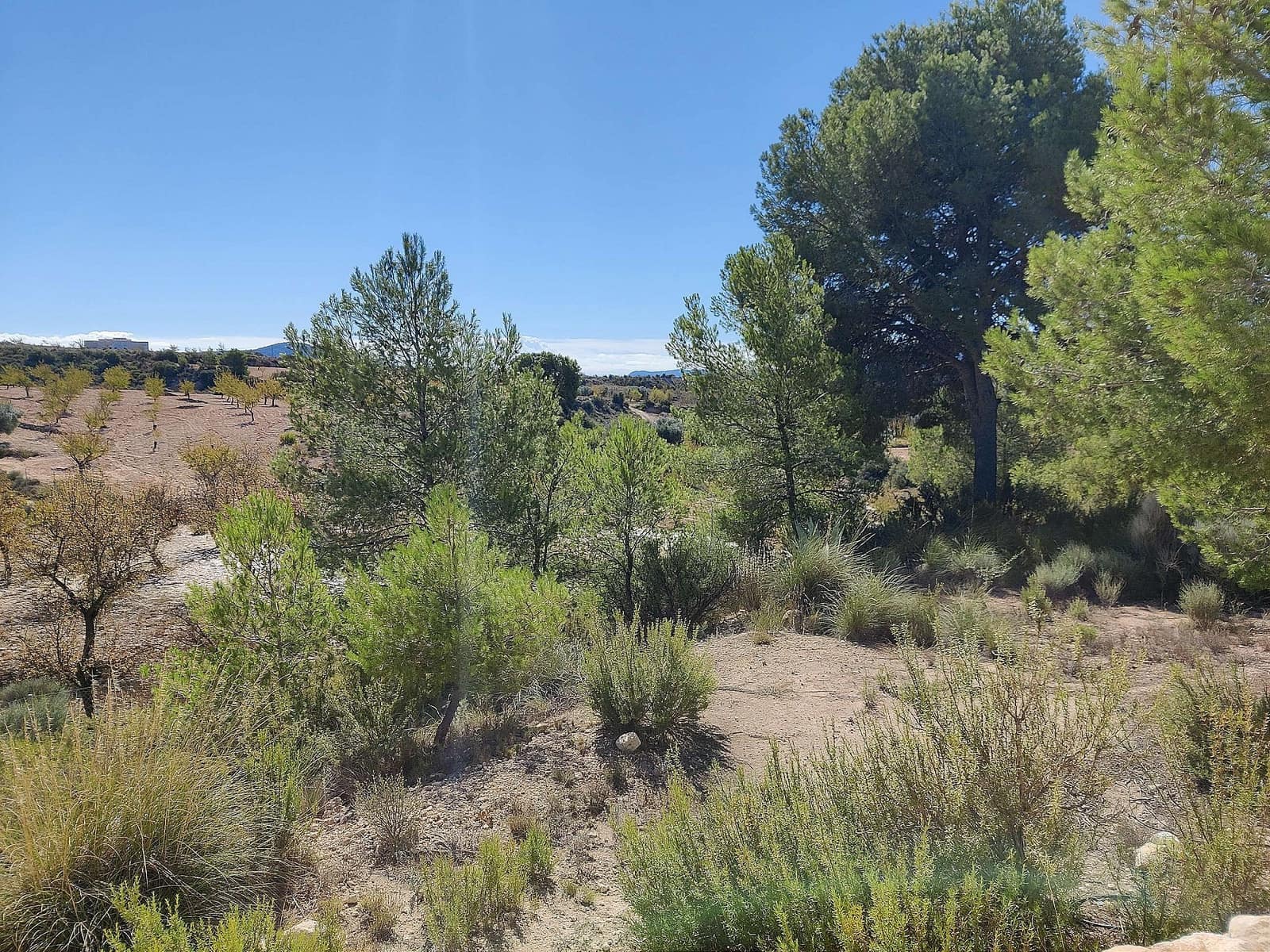 2 soveværelse Finca/Landehus til salg i Monovar / Monover - € 79.995 (Ref: 9508249)