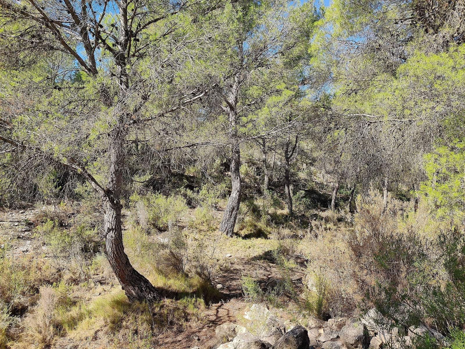 2 soveværelse Finca/Landehus til salg i Monovar / Monover - € 79.995 (Ref: 9508249)