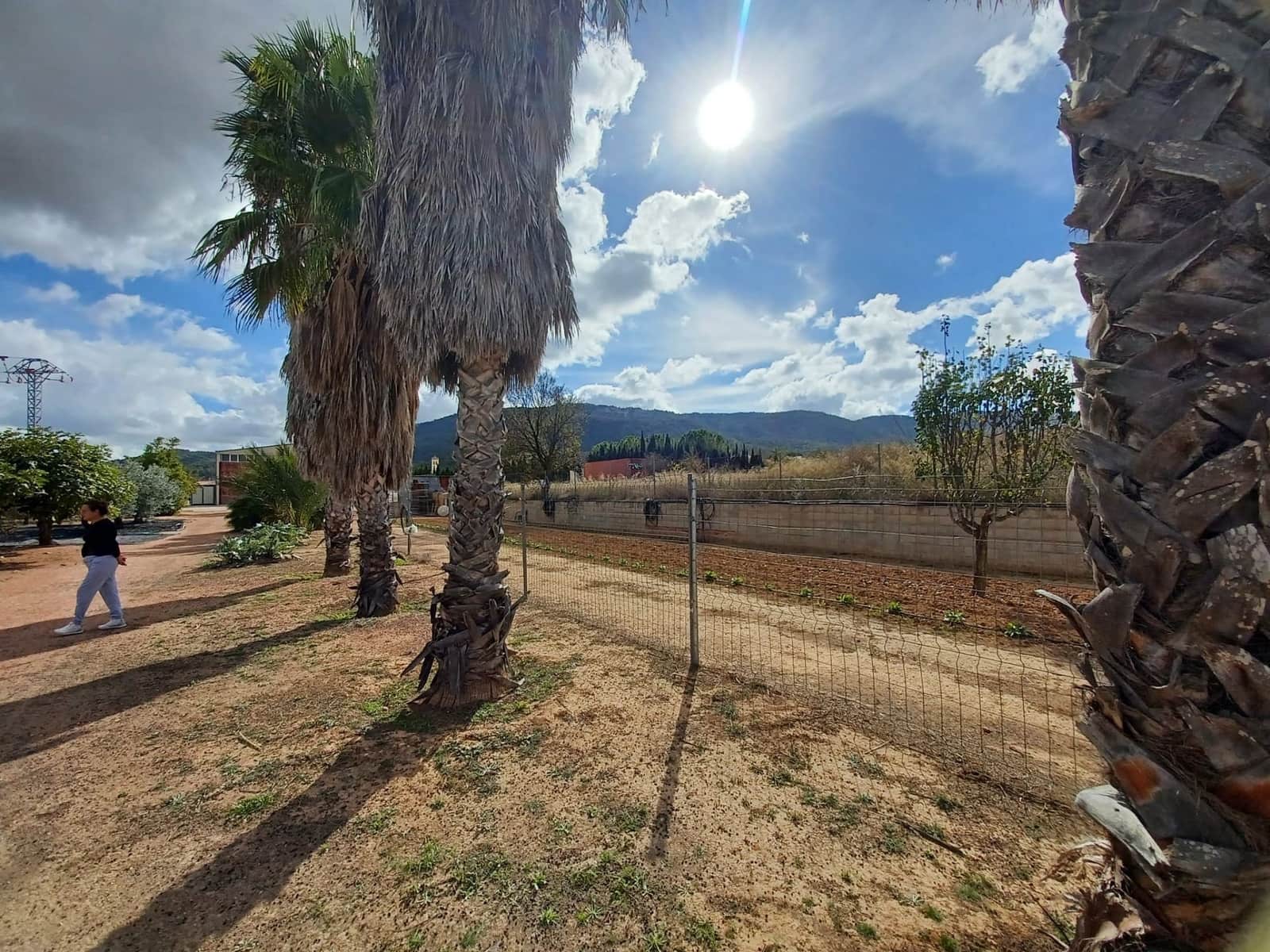 4 bedroom Finca/Country House for sale in Monovar / Monover with pool - € 225,000 (Ref: 9511973)