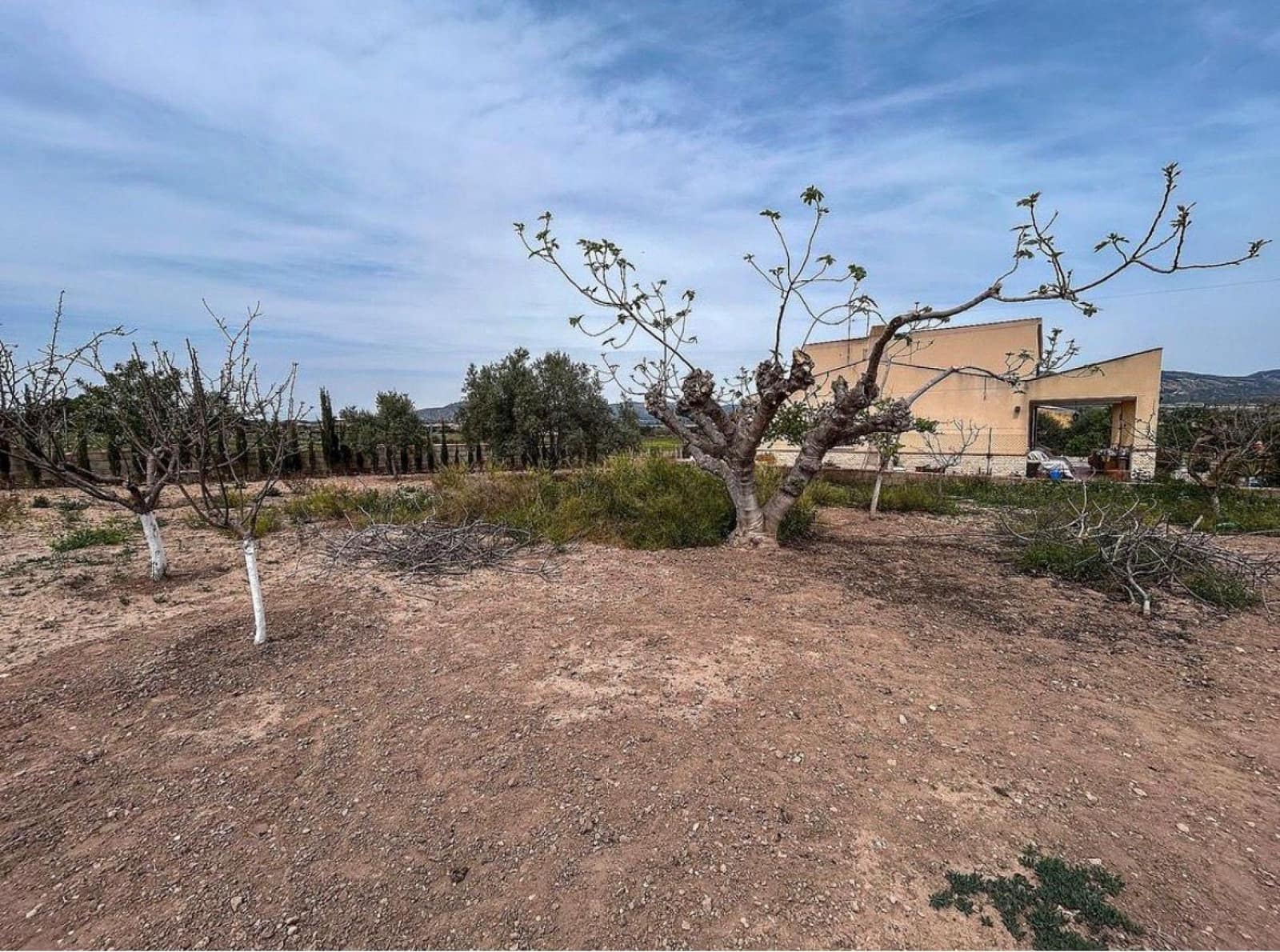 4 quarto Quinta/Casa Rural para venda em Sax com piscina garagem - 199 500 € (Ref: 9529390)