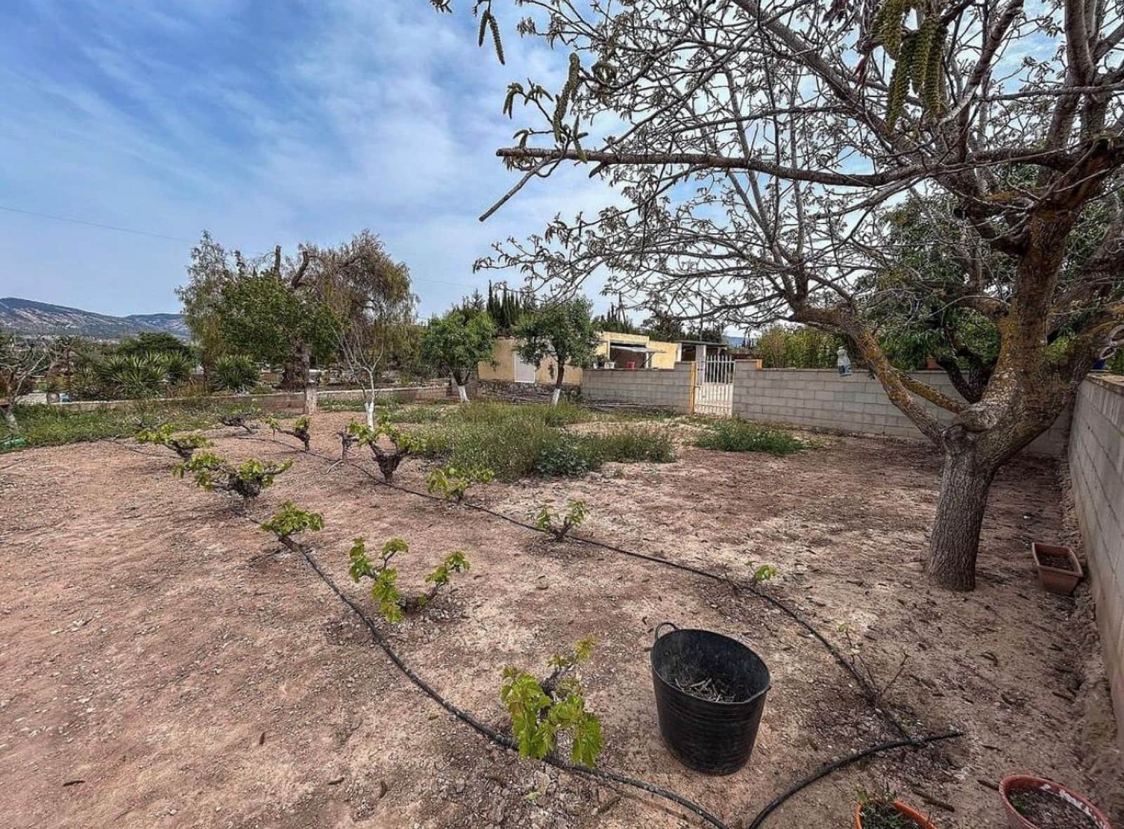 4 quarto Quinta/Casa Rural para venda em Sax com piscina garagem - 199 500 € (Ref: 9529390)