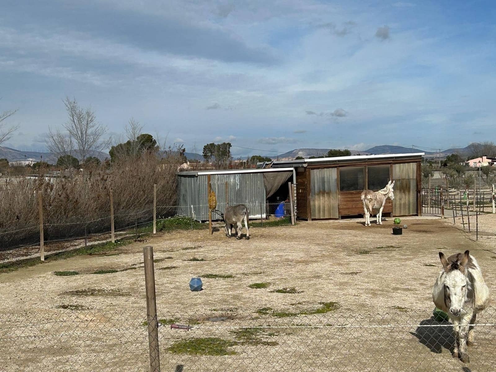 5 bedroom Villa for sale in Villena - € 330,000 (Ref: 9535591)