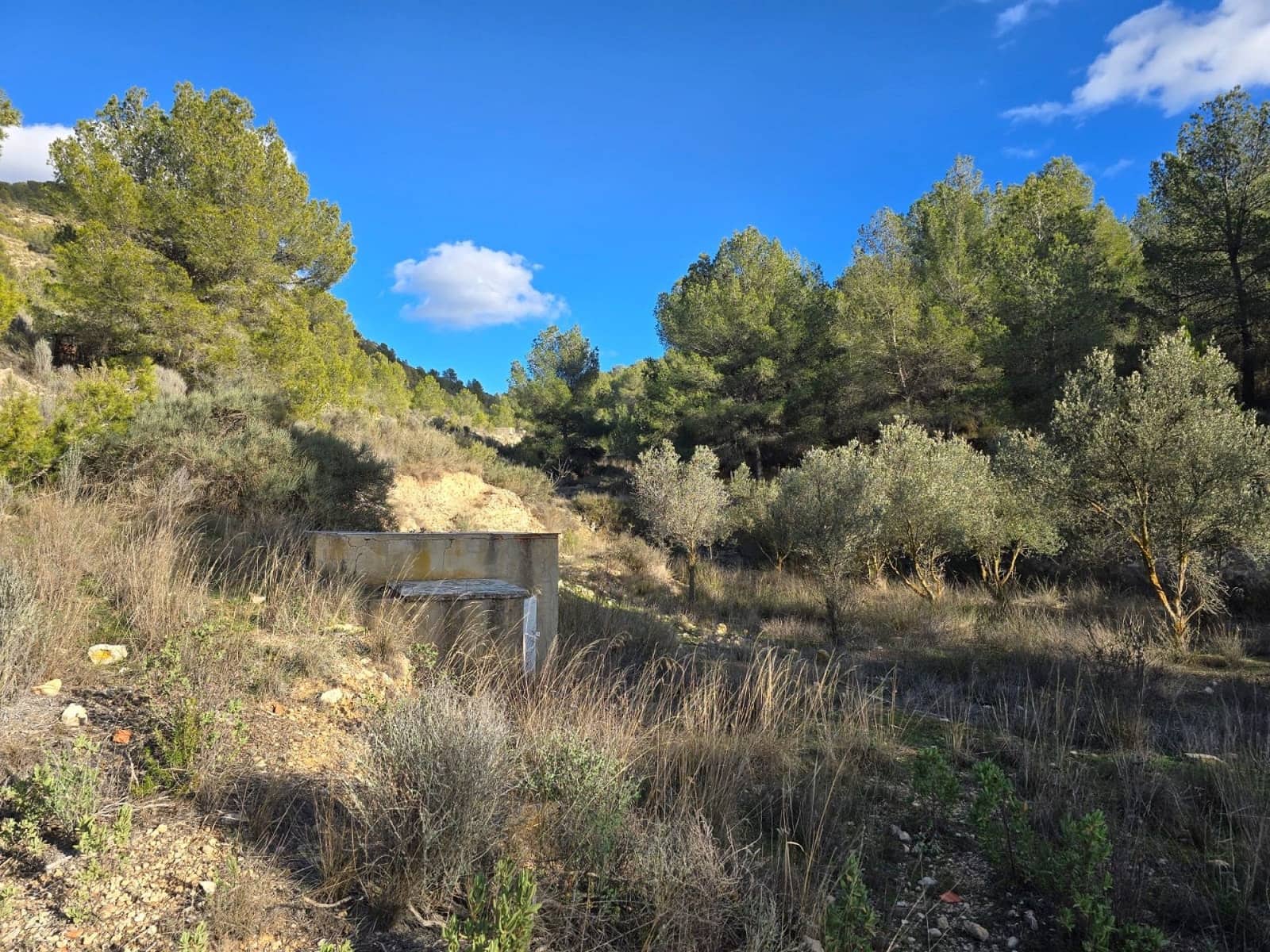 3 sovrum Villa till salu i Petrel / Petrer - 99 995 € (Ref: 9540734)