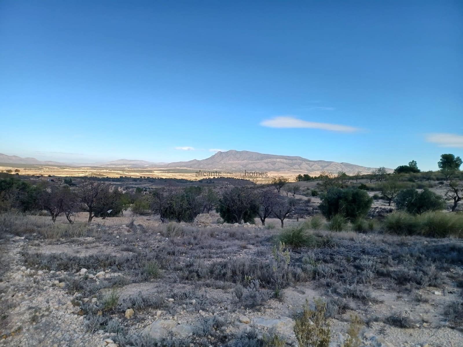 3 bedroom Finca/Country House for sale in La Zarza with garage - € 139,995 (Ref: 9547516)