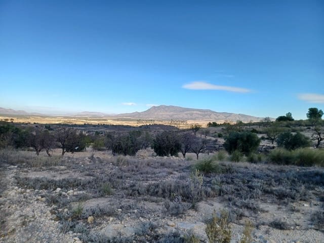 3 soverom Finca/Herregård til salgs i La Zarza, Pinoso med garasje - € 139 995 (Ref: 9547516)