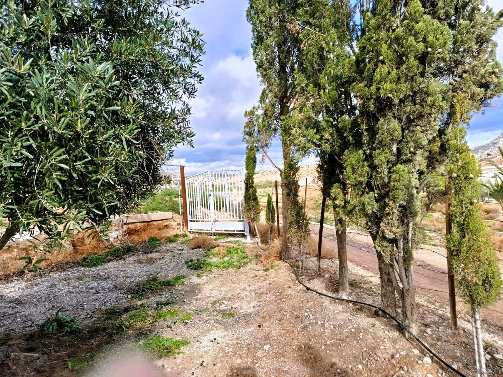 2 quarto Quinta/Casa Rural para venda em Novelda - 149 000 € (Ref: 9554524)