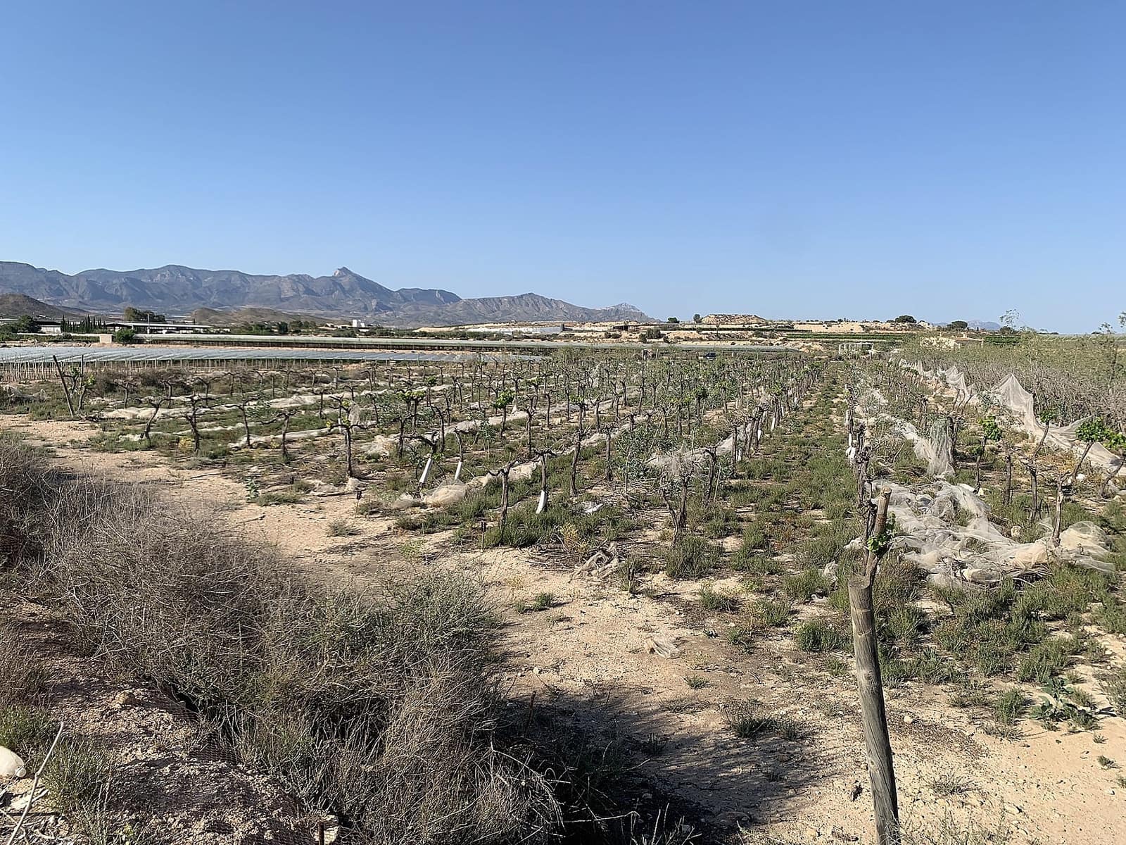 Grunde uden byggetilladelser til salg i Monforte del Cid - € 80.000 (Ref: 9570530)