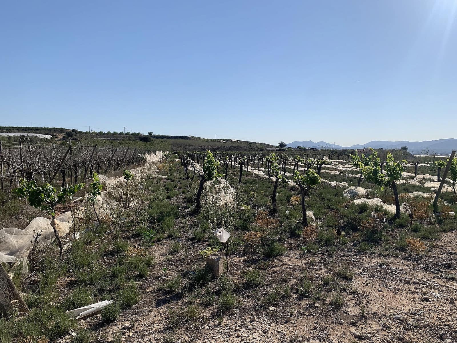 Ubebygd land til salgs i Monforte del Cid - € 80 000 (Ref: 9573902)