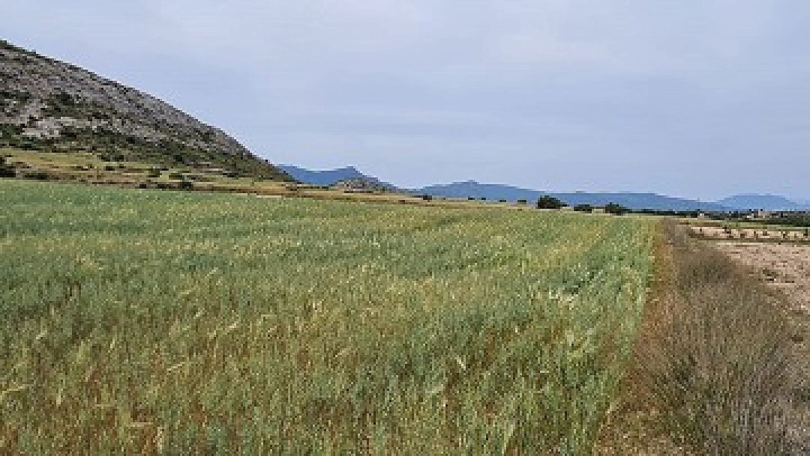 3 camera da letto Villa in vendita in Torre del Rico - 277.000 € (Rif: 9575528)