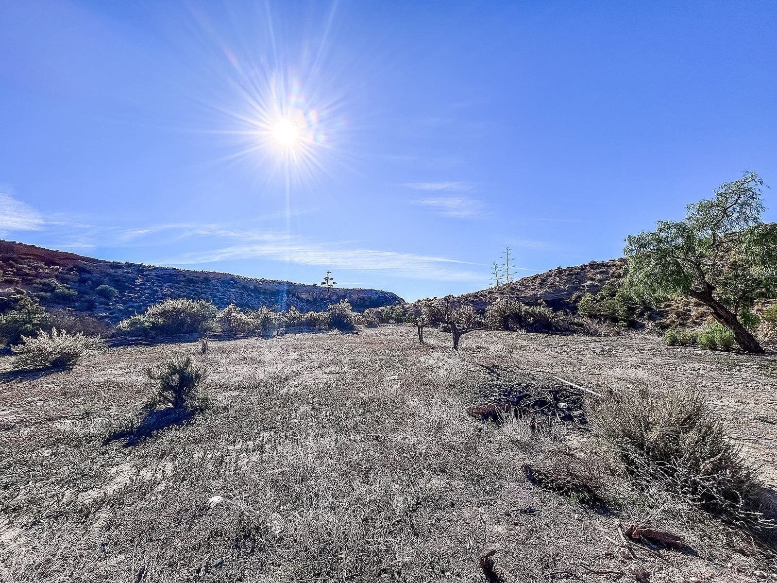 4 soverom Finca/Herregård til salgs i Crevillente / Crevillent med svømmebasseng garasje - € 130 000 (Ref: 9575617)