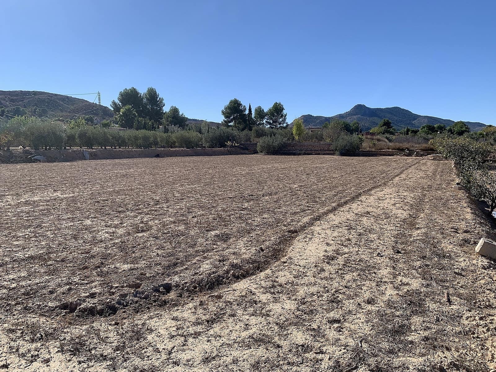 2 Zimmer Finca/Landgut zu verkaufen in Aspe - 119.950 € (Ref: 9578370)