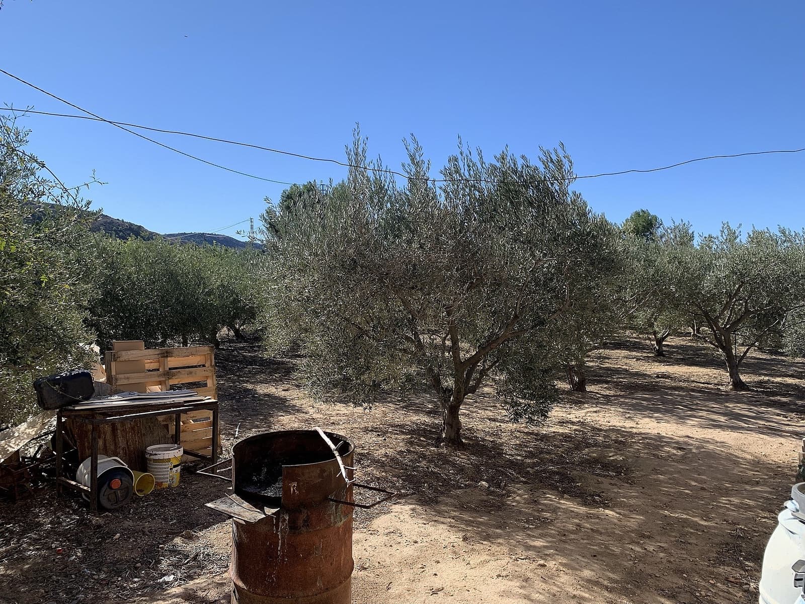 2 Zimmer Finca/Landgut zu verkaufen in Aspe - 119.950 € (Ref: 9578370)