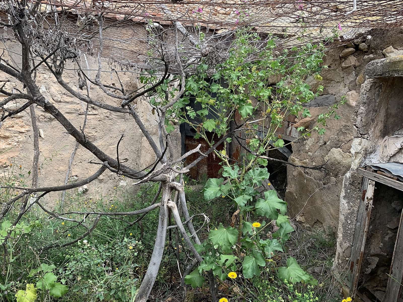 3 Zimmer Finca/Landgut zu verkaufen in Macisvenda - 29.950 € (Ref: 9578418)