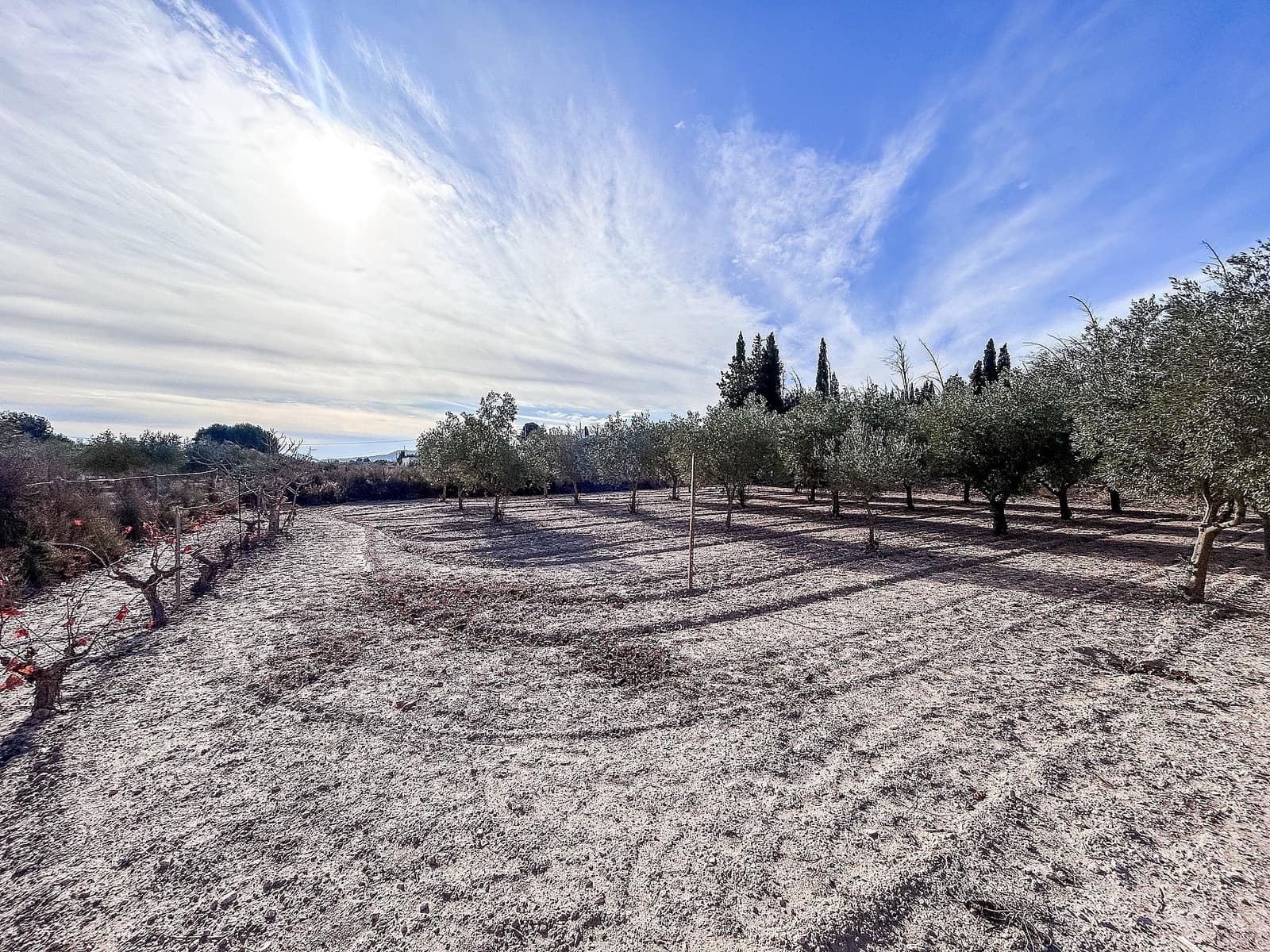 4 camera da letto Villa in vendita in Sax con piscina - 184.995 € (Rif: 9578451)