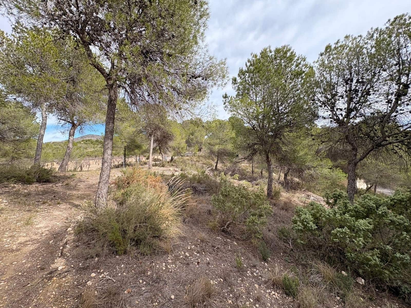 4 soverom Villa til salgs i Sax med svømmebasseng garasje - € 315 000 (Ref: 9590652)