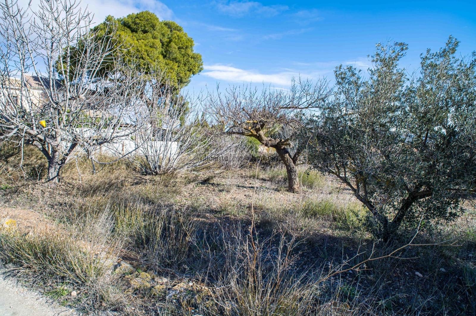 5 bedroom Finca/Country House for sale in Pinoso with pool - € 179,950 (Ref: 9594589)