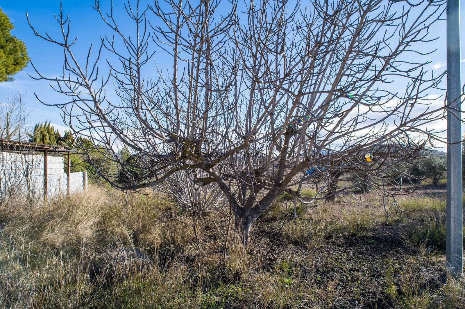 5 bedroom Finca/Country House for sale in Pinoso with pool - € 179,950 (Ref: 9594589)