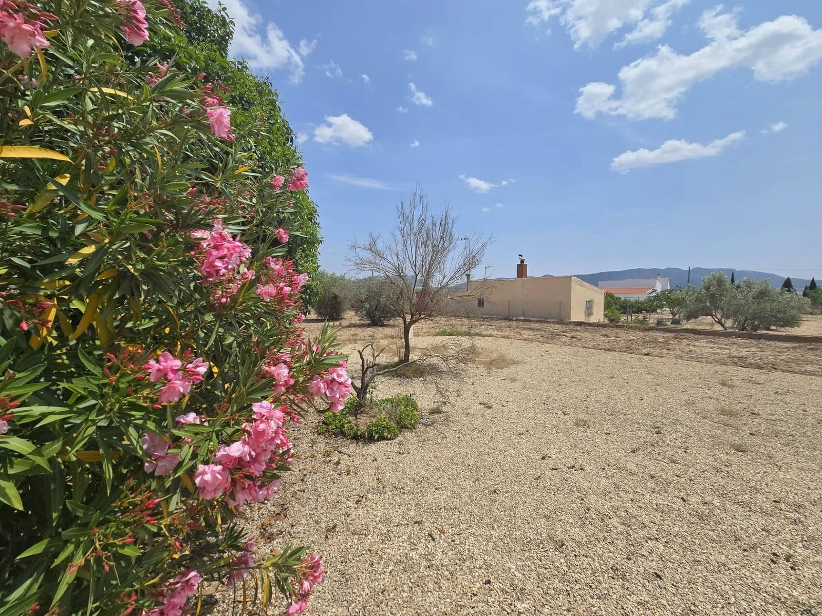 3 soveværelse Villa til salg i Salinas - € 199.500 (Ref: 9600887)