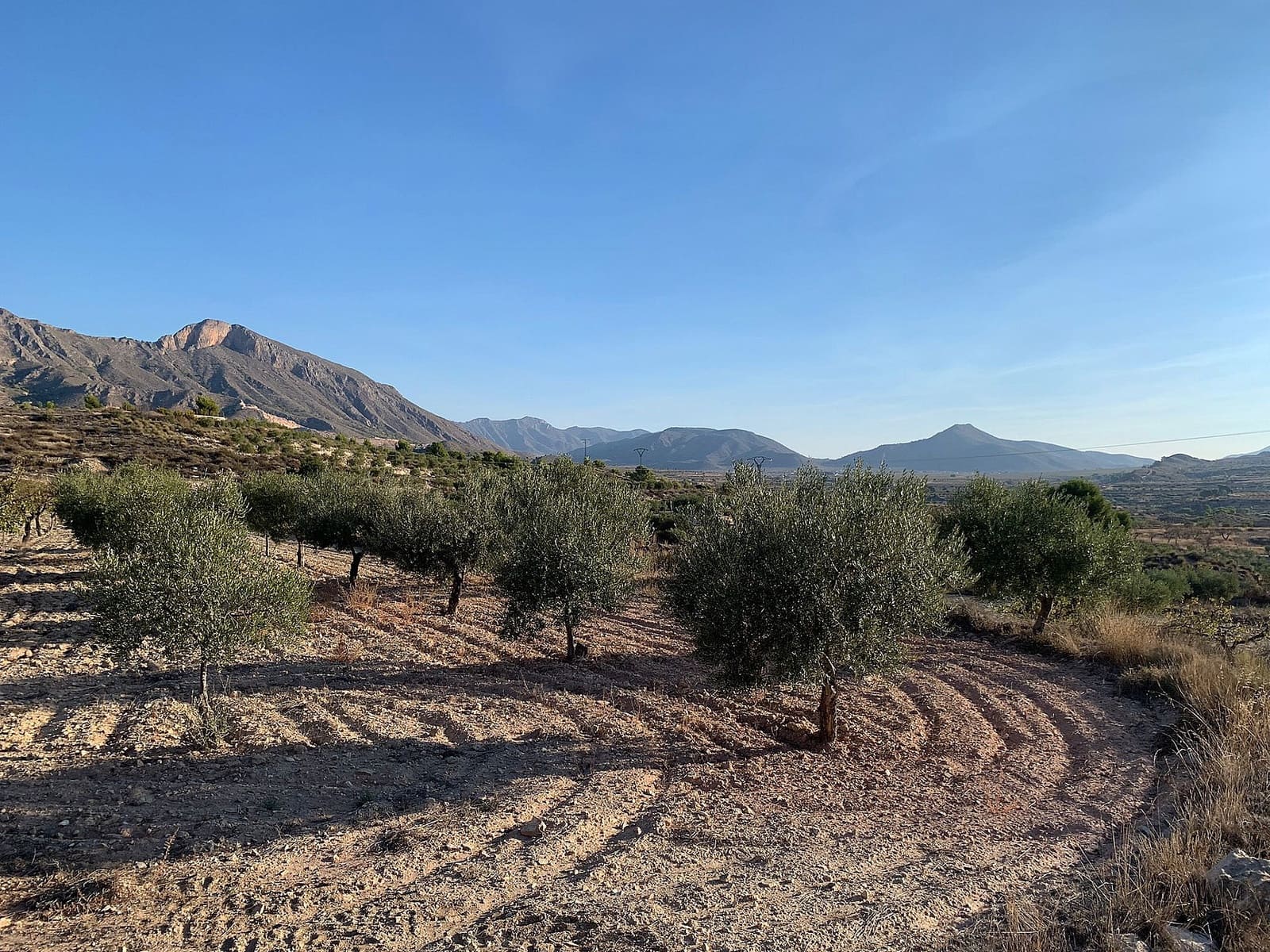 Grond te koop in Macisvenda - € 31.000 (Ref: 9600899)