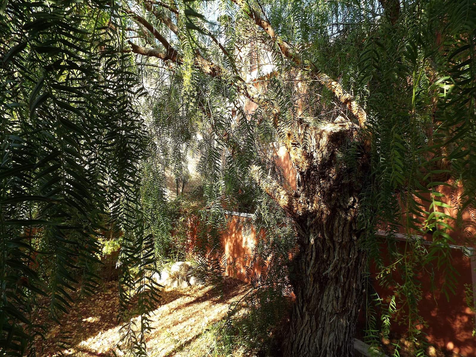 12 soveværelse Finca/Landehus til salg i Mahoya med swimmingpool garage - € 250.000 (Ref: 9600902)