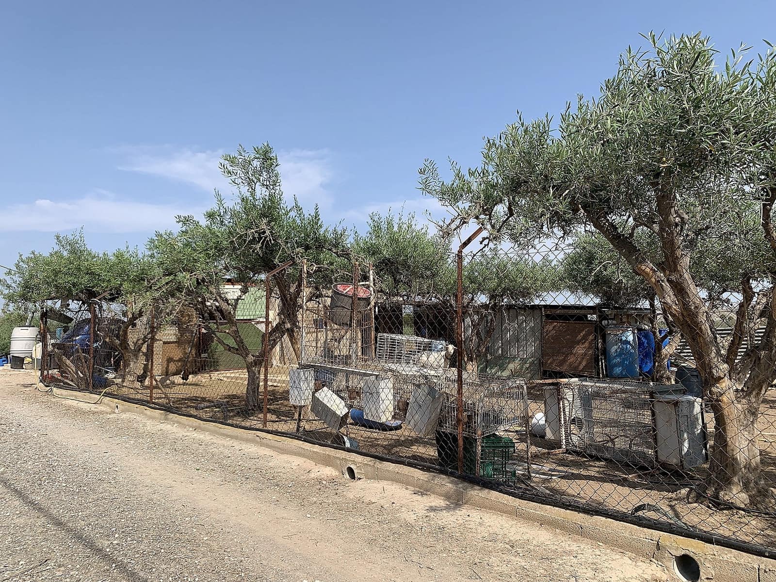 3 Zimmer Finca/Landgut zu verkaufen in Aspe mit Pool Garage - 136.000 € (Ref: 9600961)