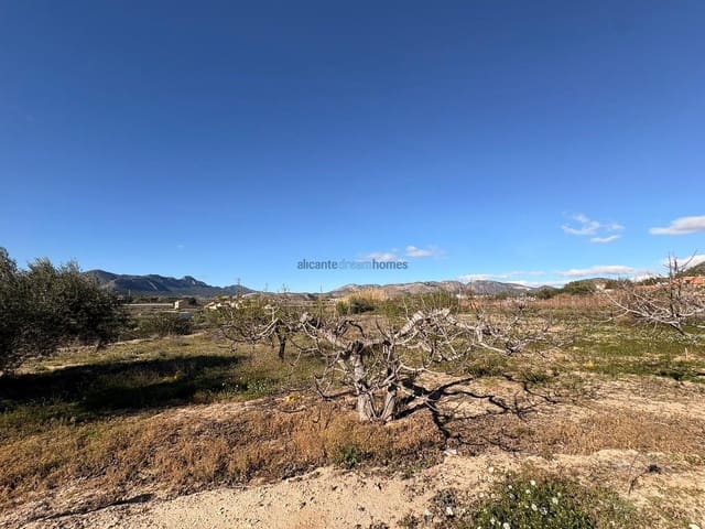 4 bedroom Finca/Country House for sale in La Romana with garage - € 149,995 (Ref: 9610771)