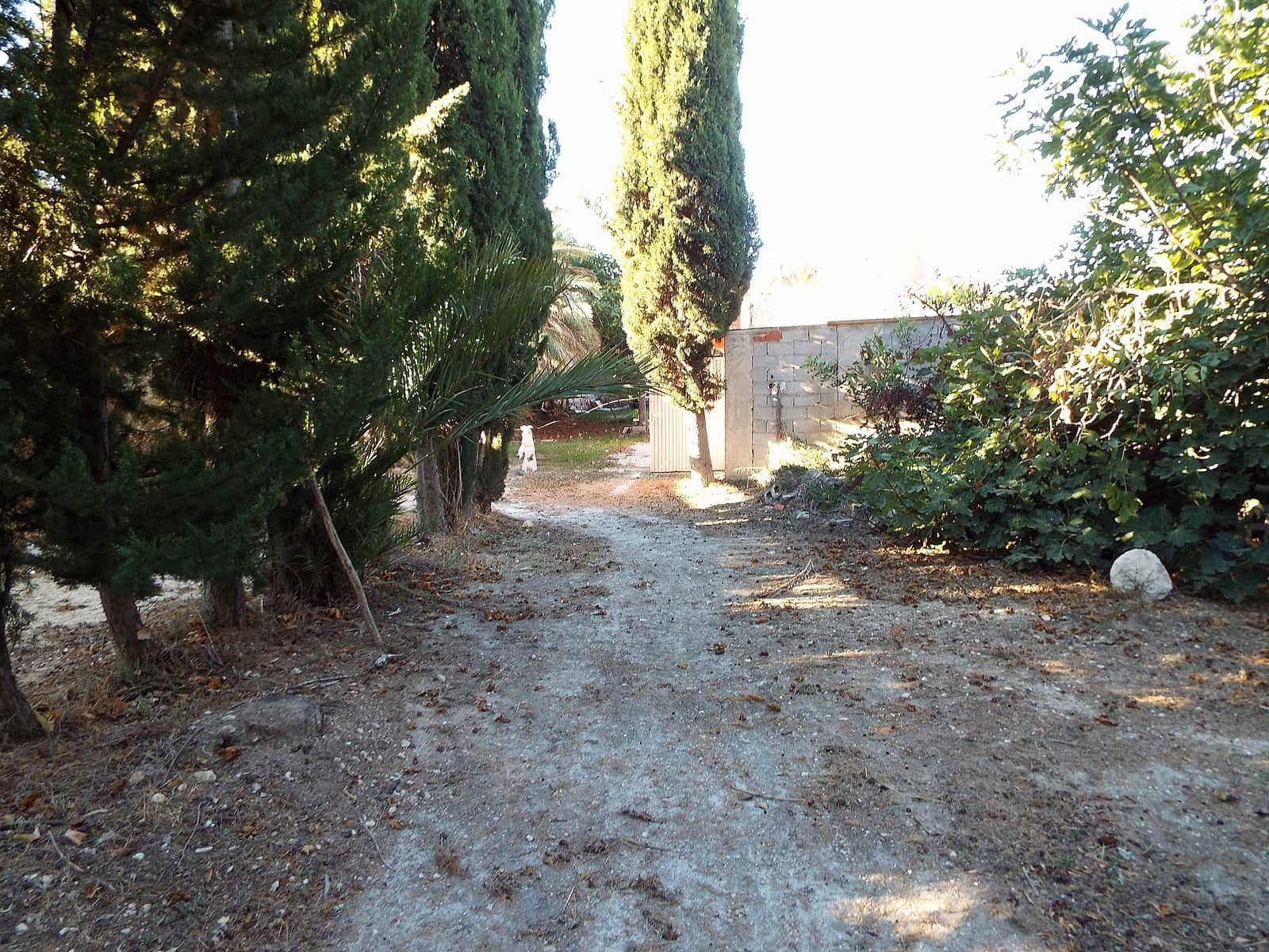 Finca/Casa Rural de 12 habitaciones en Mahoya en venta con piscina garaje - 250.000 € (Ref: 9625202)