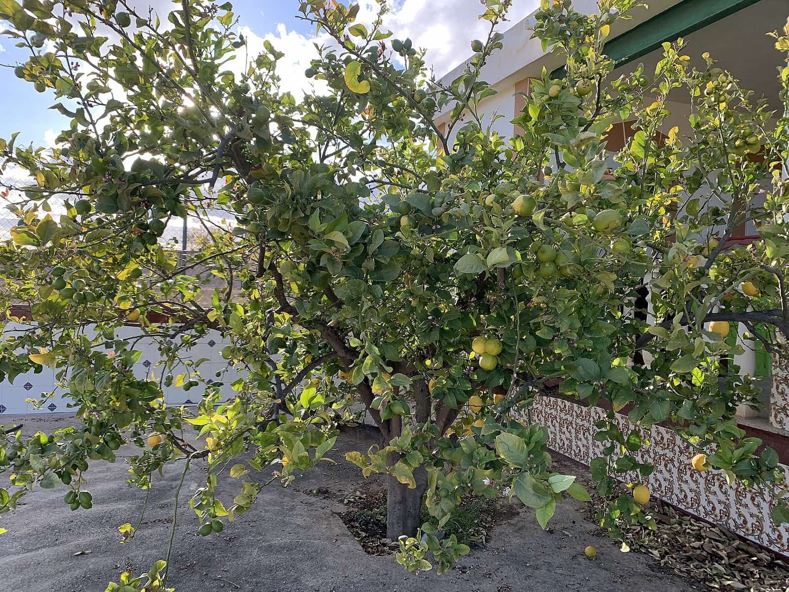 3 makuuhuone Huvila myytävänä paikassa Macisvenda - 159 950 € (Ref: 9625230)