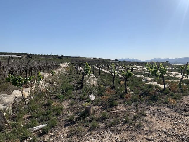 Mark till salu i Monforte del Cid - 80 000 € (Ref: 9636368)