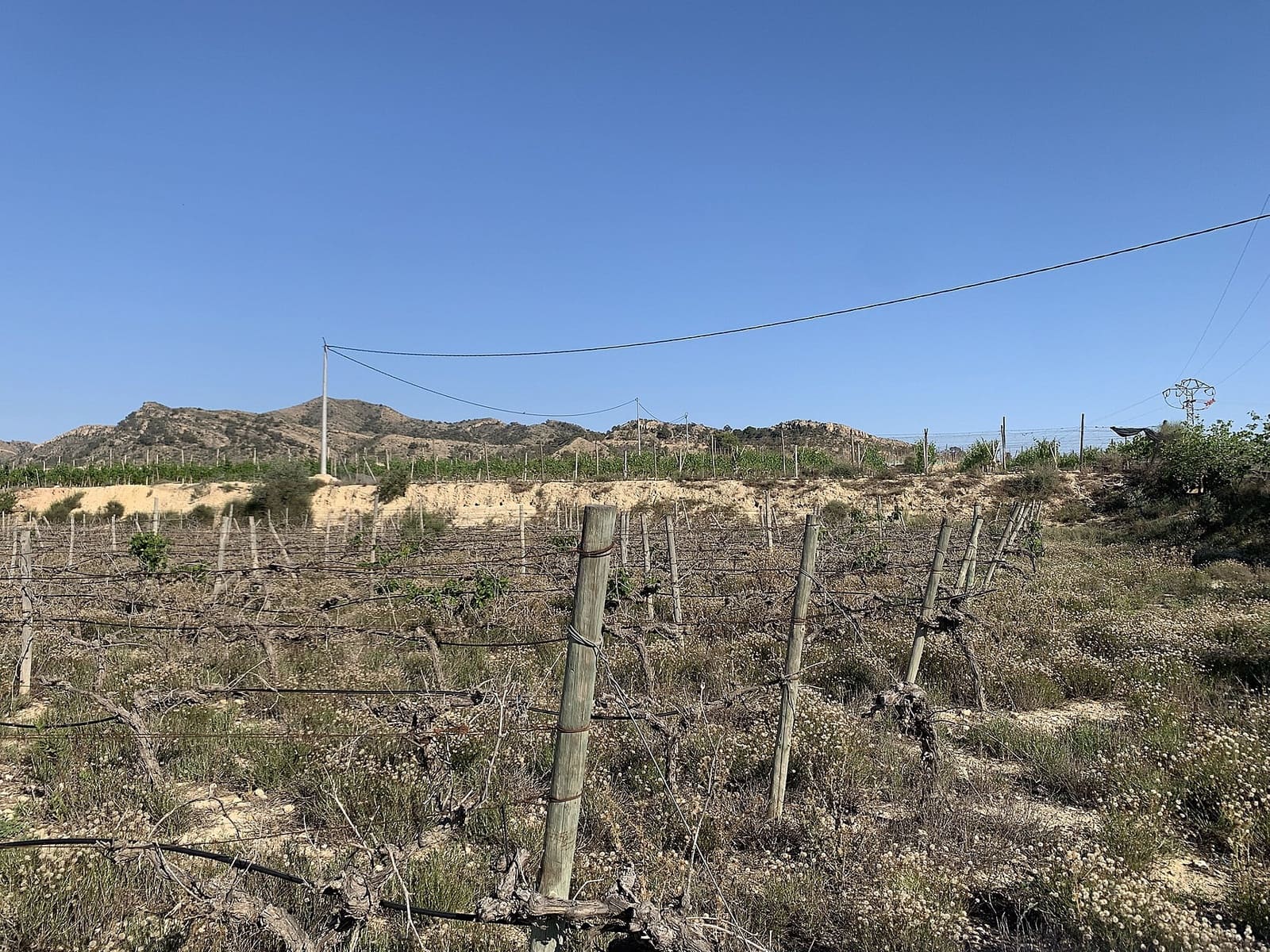 Terreno Não Urbanizado para venda em Monforte del Cid - 65 000 € (Ref: 9636369)