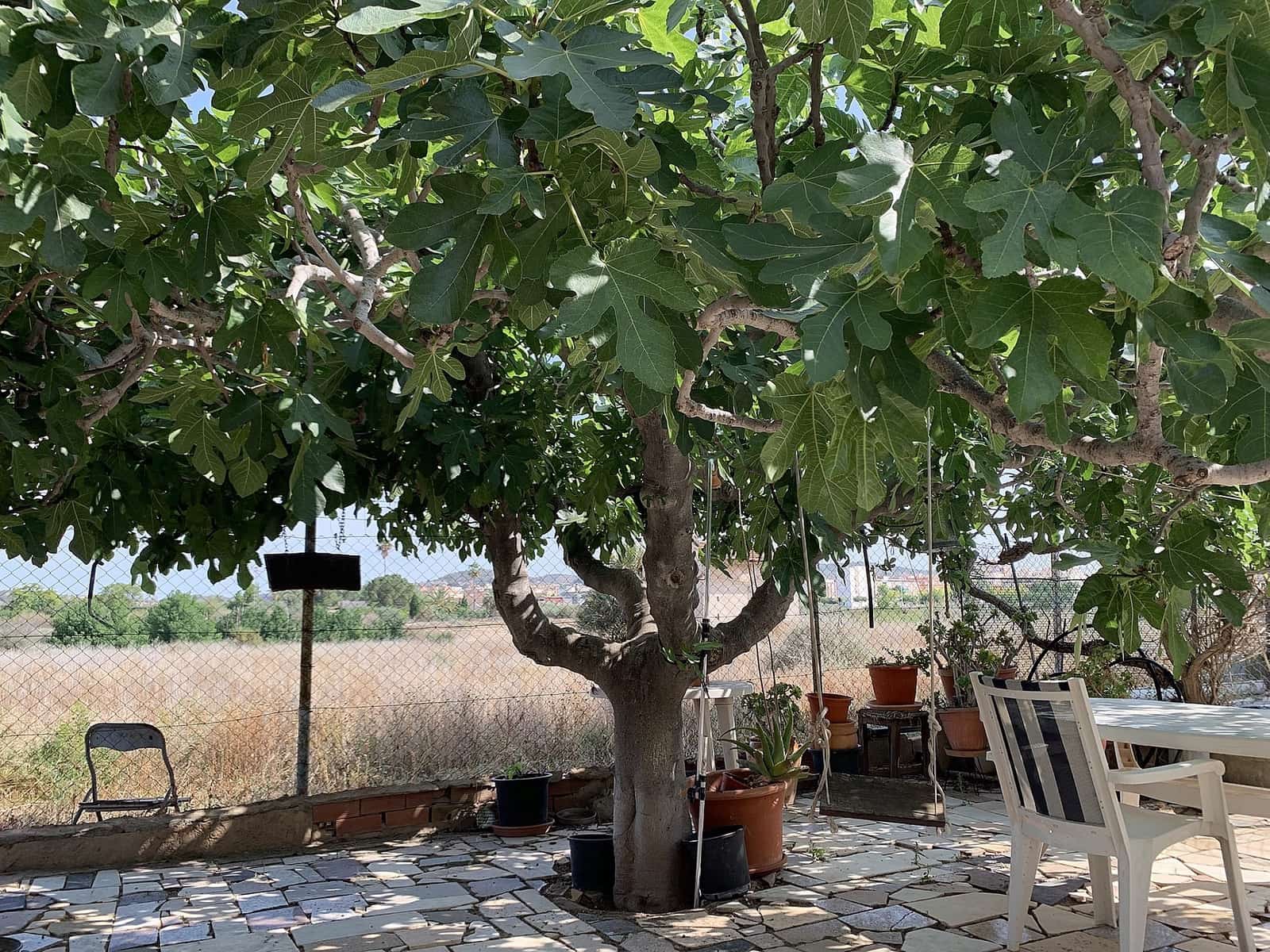 3 bedroom Finca/Country House for sale in Aspe with pool garage - € 136,000 (Ref: 9636376)