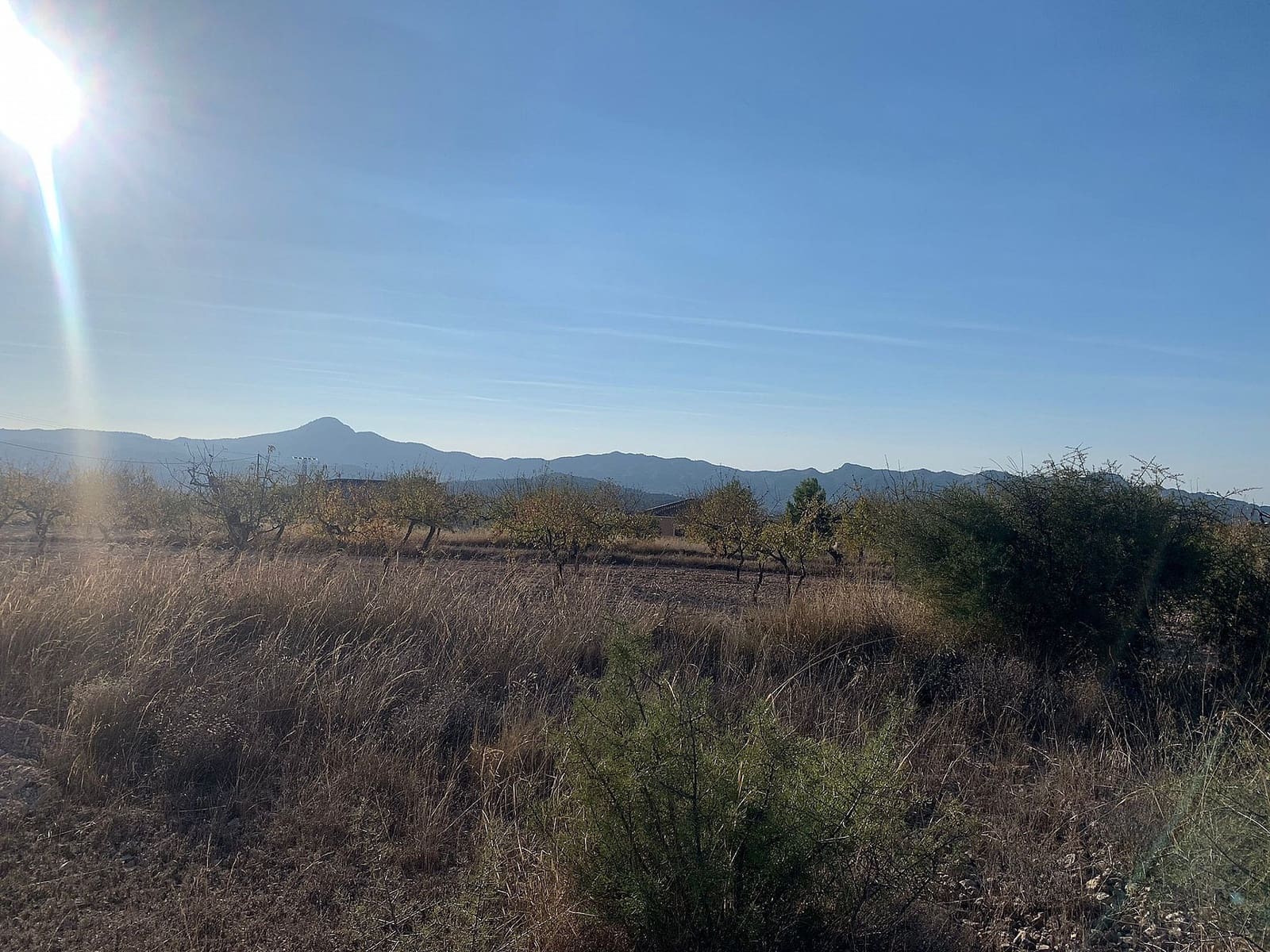 Terreno Non Edificato in vendita in Macisvenda - 32.000 € (Rif: 9638973)