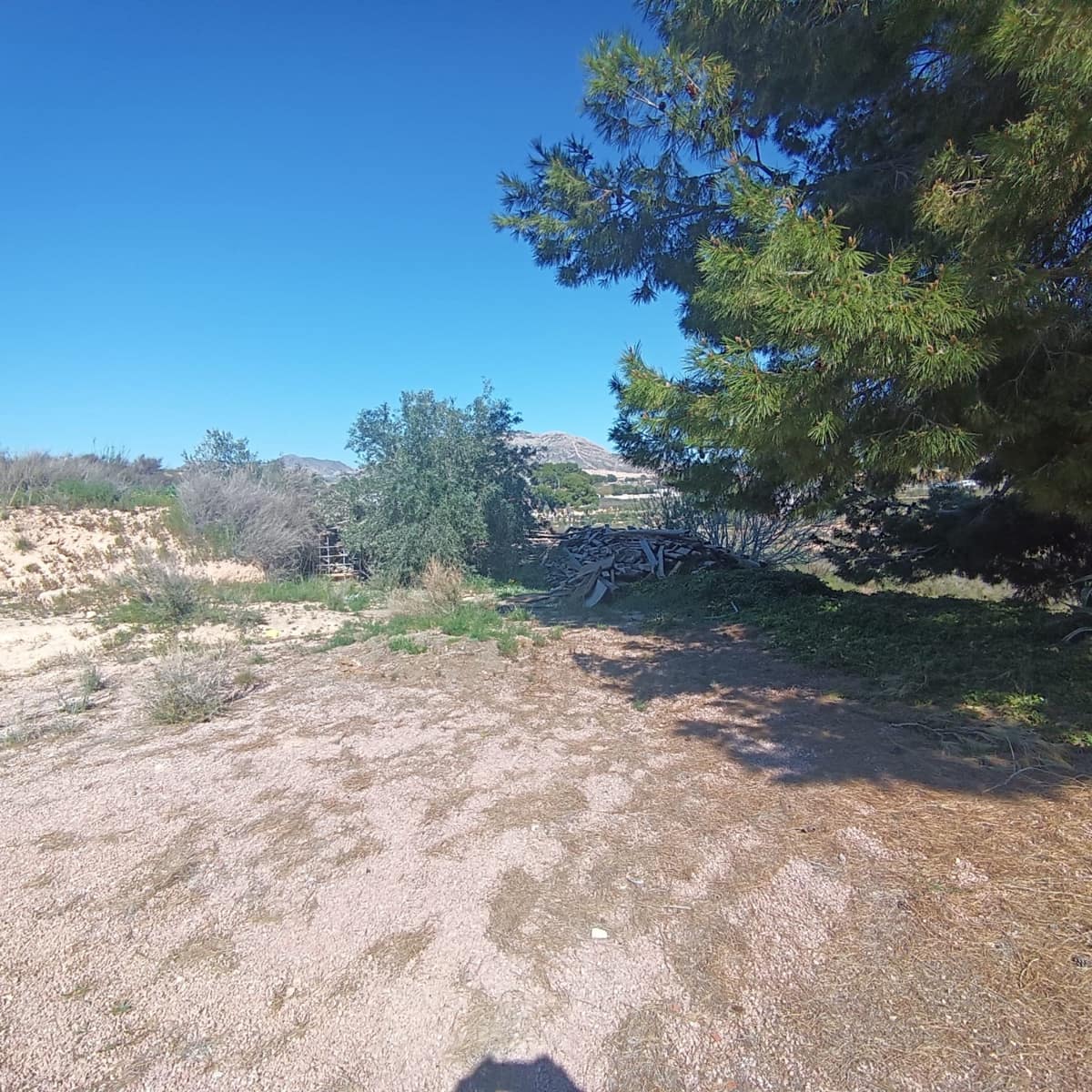 Finca/Casa Rural de 6 habitaciones en Elda en venta - 195.000 € (Ref: 9639940)