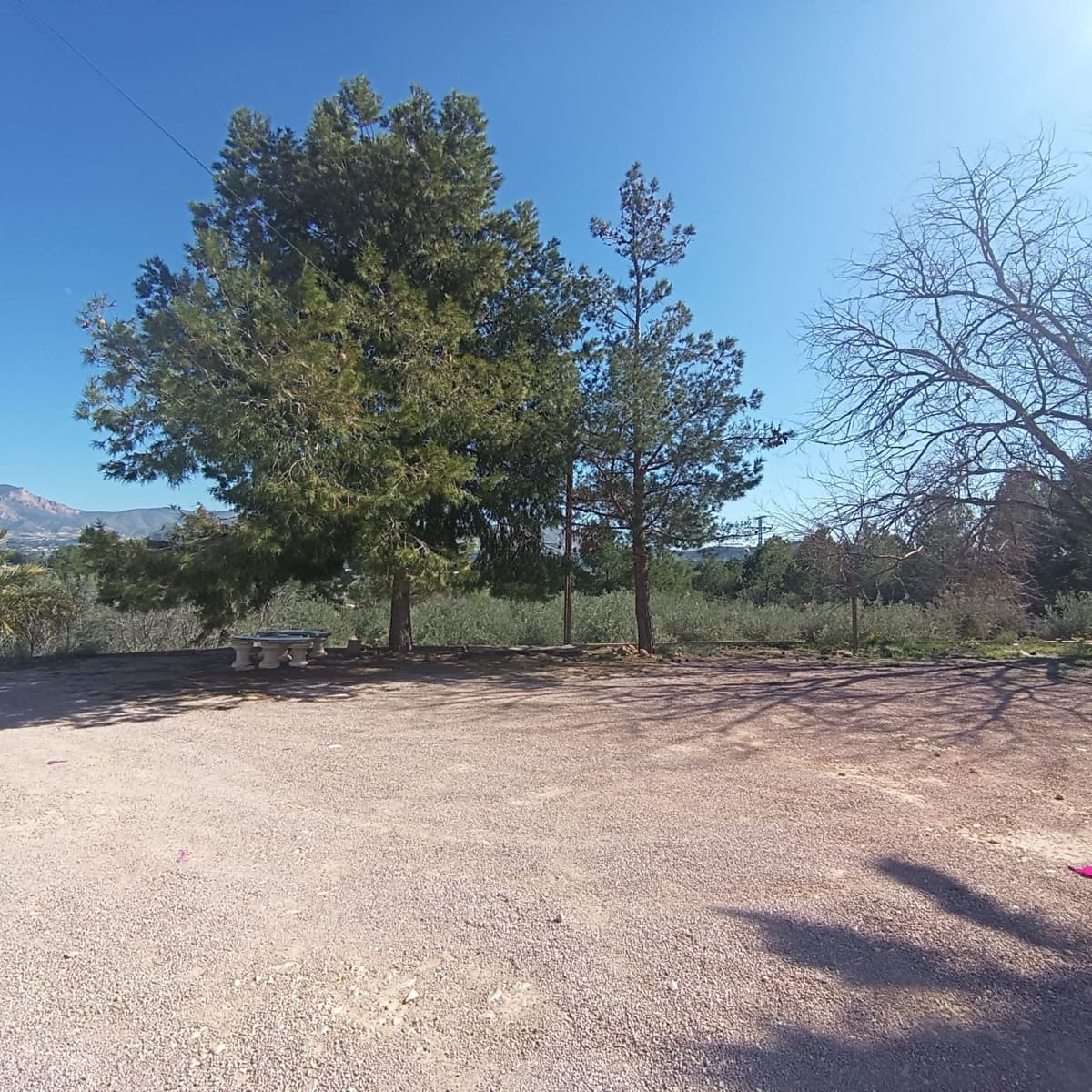 Finca/Casa Rural de 6 habitaciones en Elda en venta - 195.000 € (Ref: 9639940)