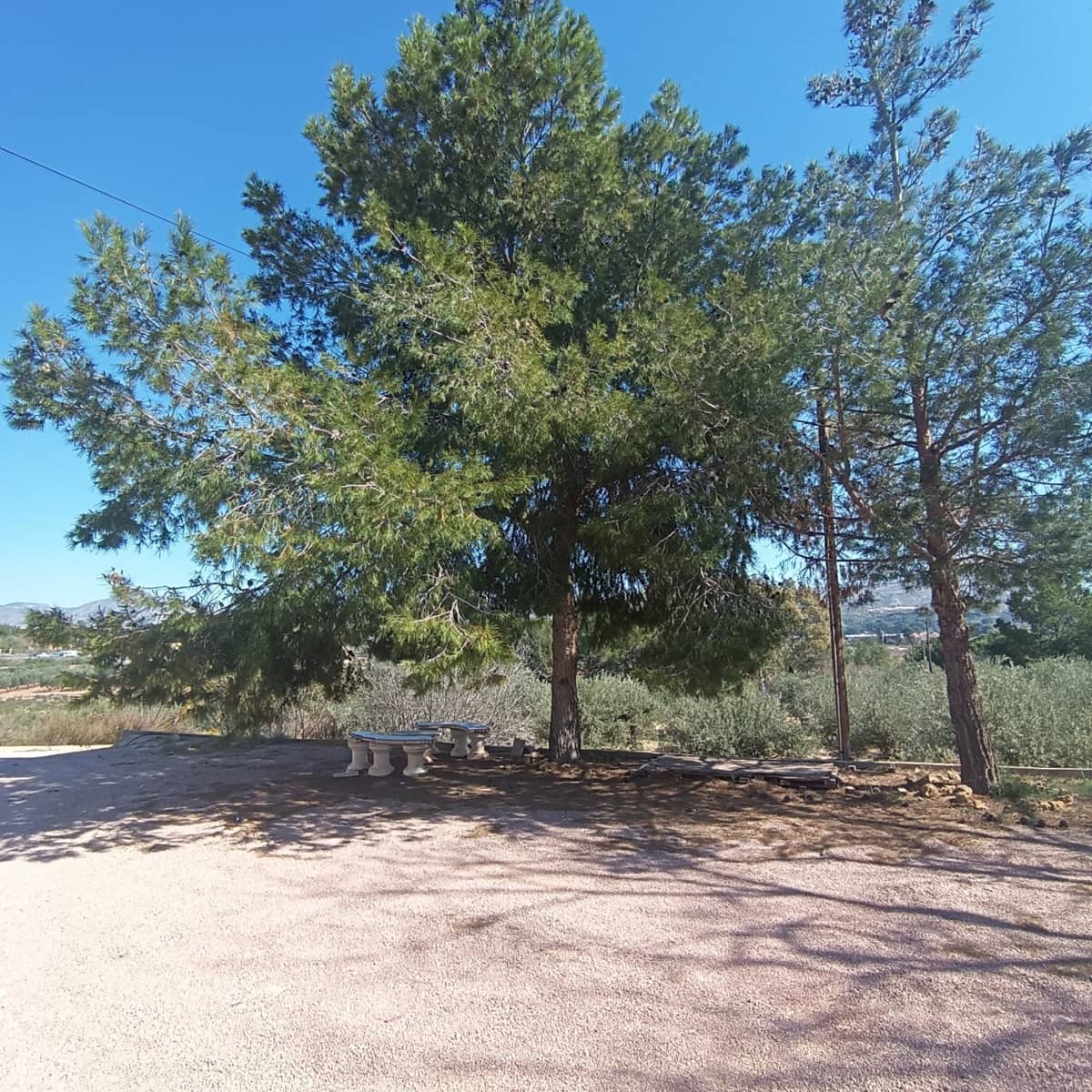 Finca/Casa Rural de 6 habitaciones en Elda en venta - 195.000 € (Ref: 9639940)