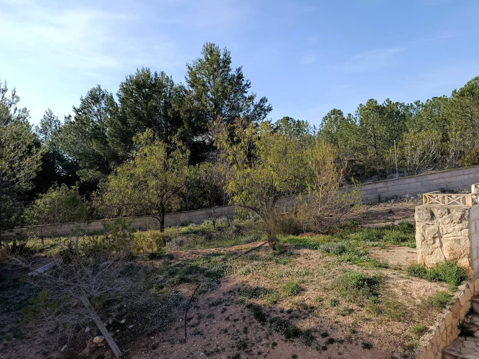 Finca/Casa Rural de 6 habitaciones en Elda en venta - 195.000 € (Ref: 9639940)