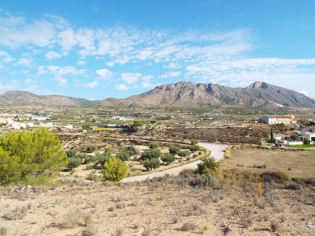 Terreno Não Urbanizado para venda em Macisvenda, Abanilla - 49 950 € (Ref: 9639964)