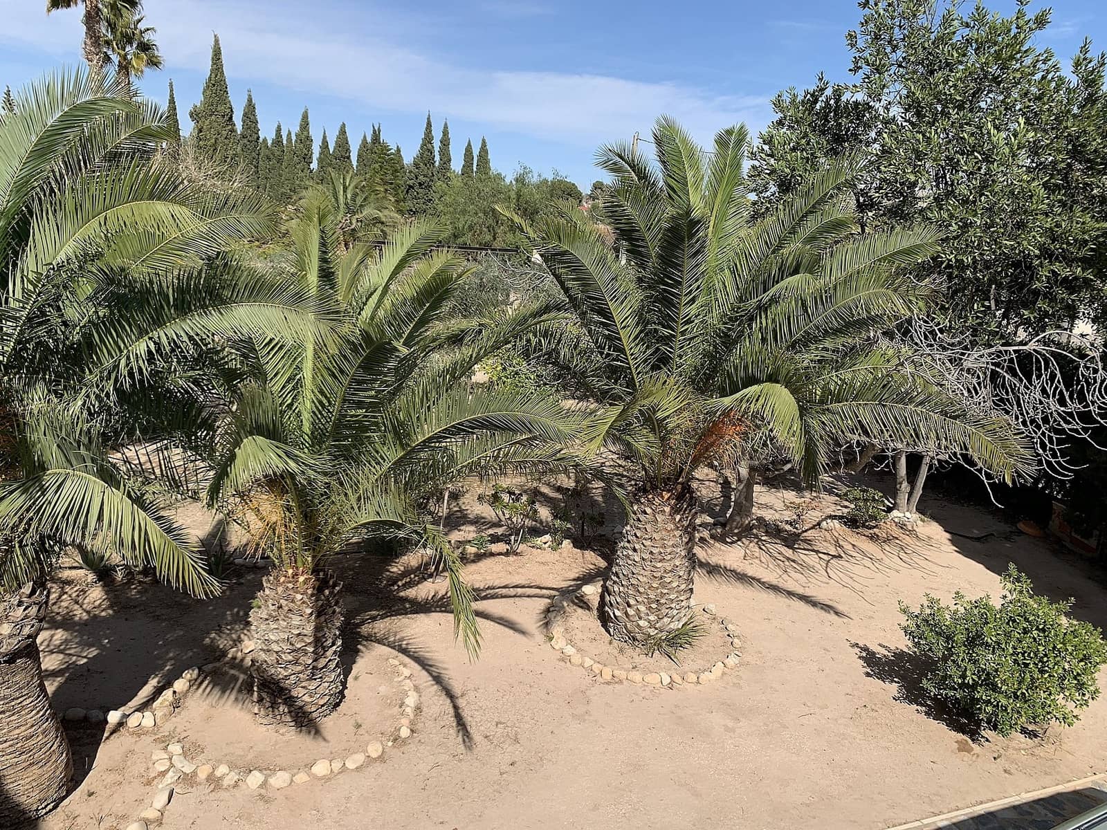 3 chambre Villa/Maison à vendre à Novelda - 270 000 € (Ref: 9639982)