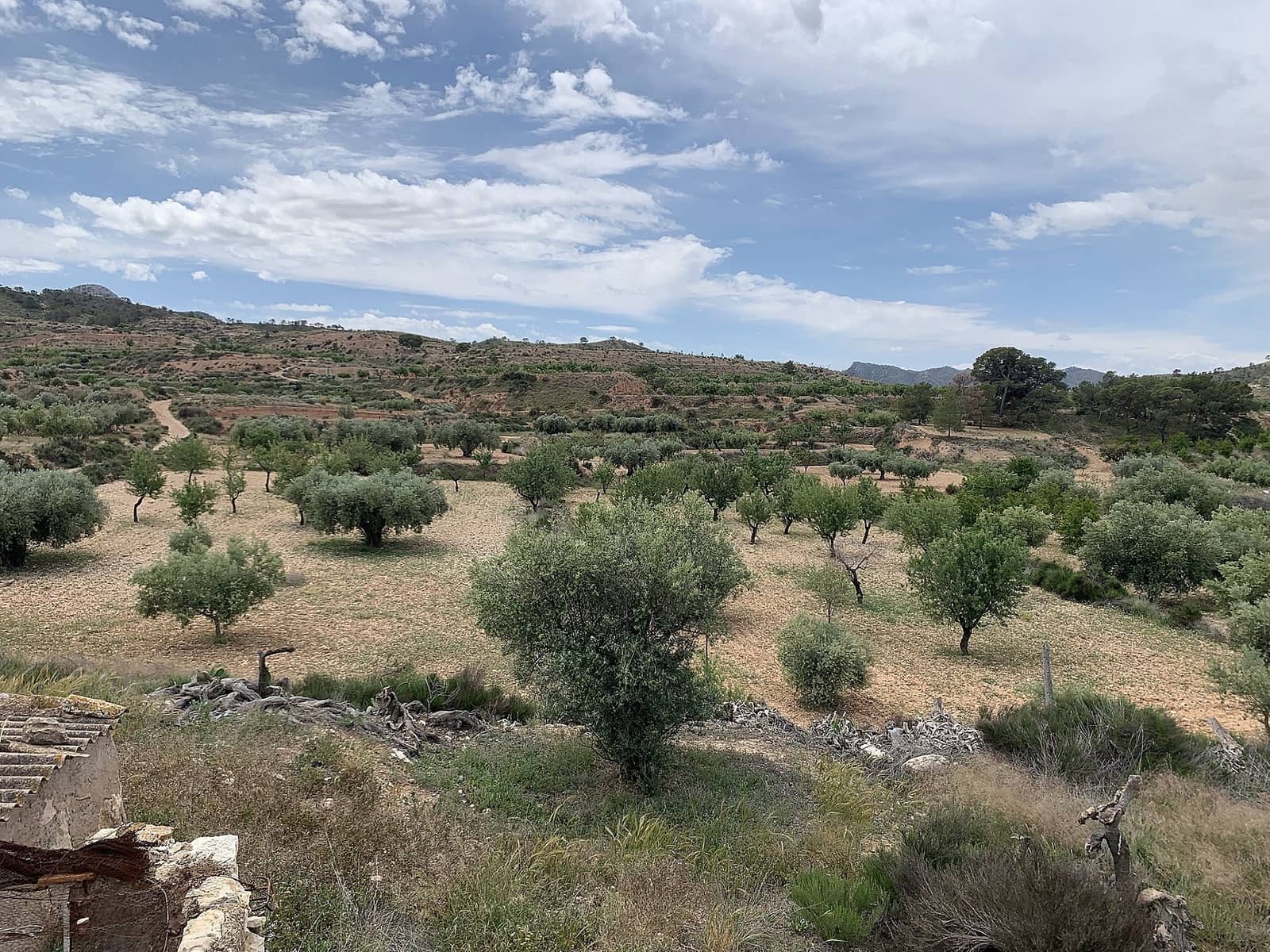 Finca/Casa Rural de 3 habitaciones en Macisvenda en venta - 29.950 € (Ref: 9640001)