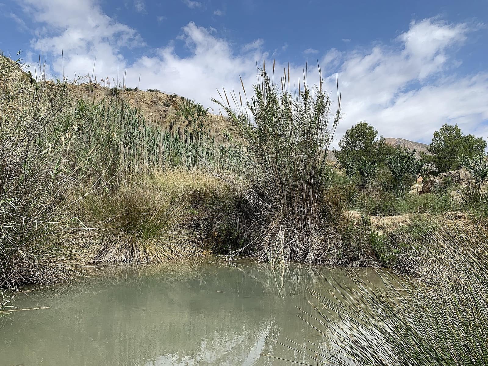 Finca/Casa Rural de 3 habitaciones en Macisvenda en venta - 29.950 € (Ref: 9640001)