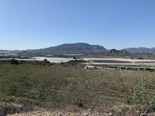 Mark till salu i Monforte del Cid - 65 000 € (Ref: 9640007)